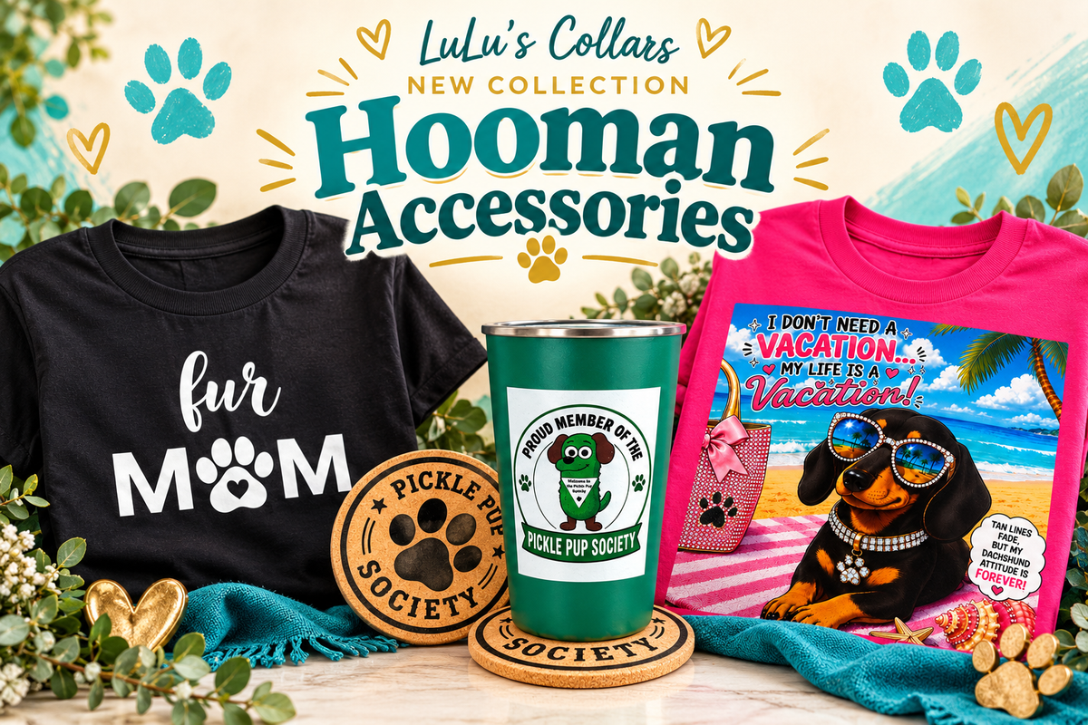 Hooman Accessories