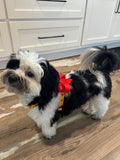 Apple Orchard Dog Harness