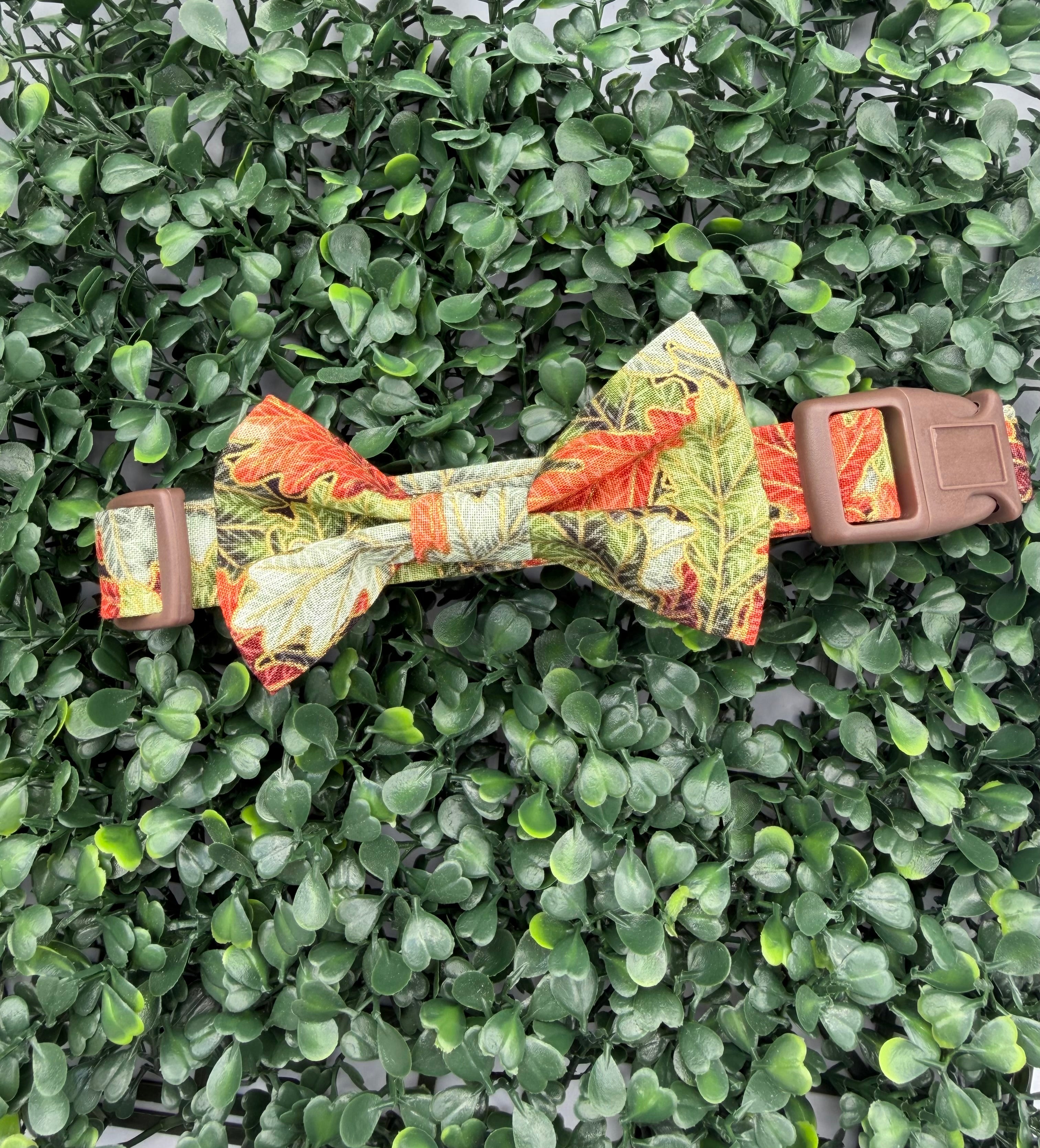 Falling Leaves Dog Collar