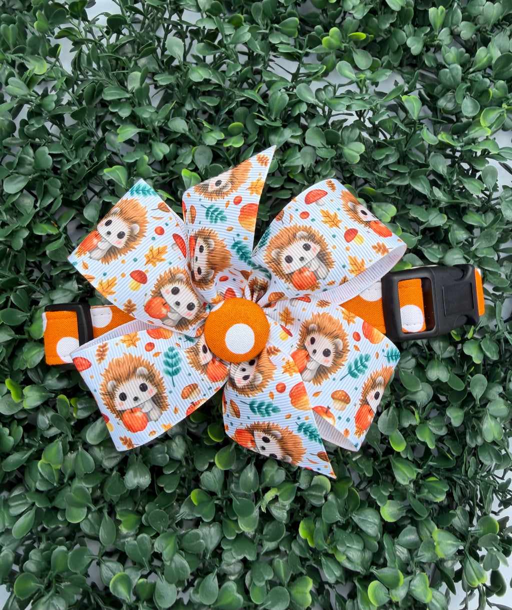 Pumpkin Spice Polka Dot Dog Collar