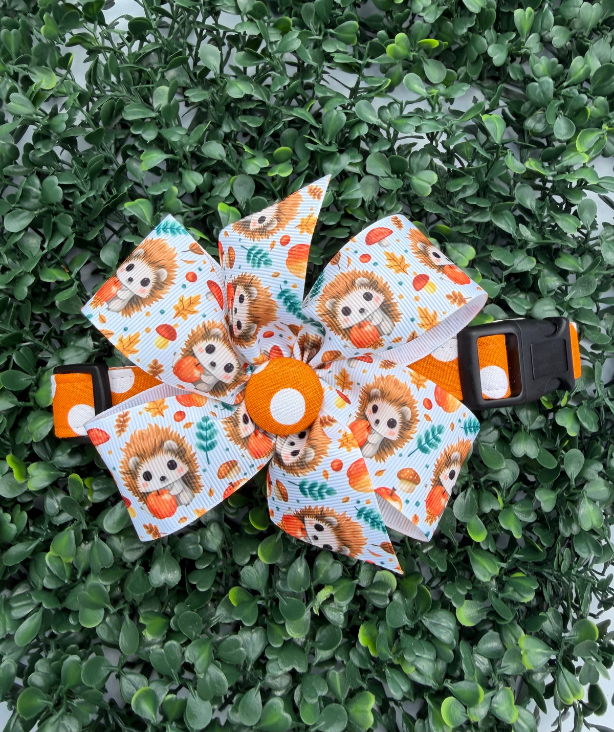 Pumpkin Spice Polka Dot Dog Collar
