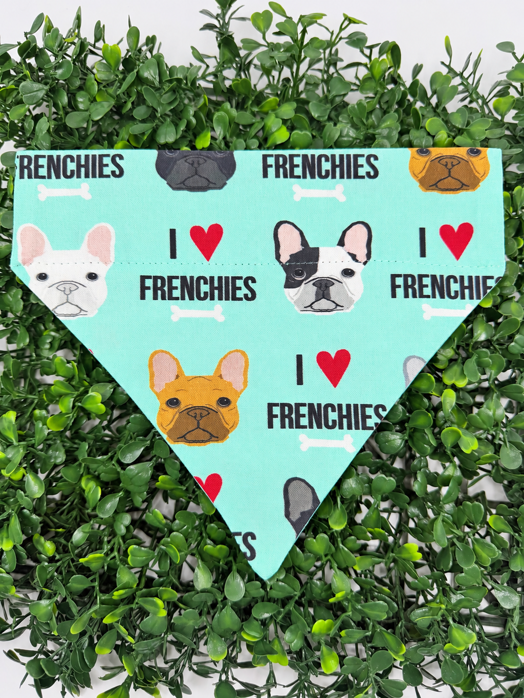 Frenchie Love Collar-Through Bandanas