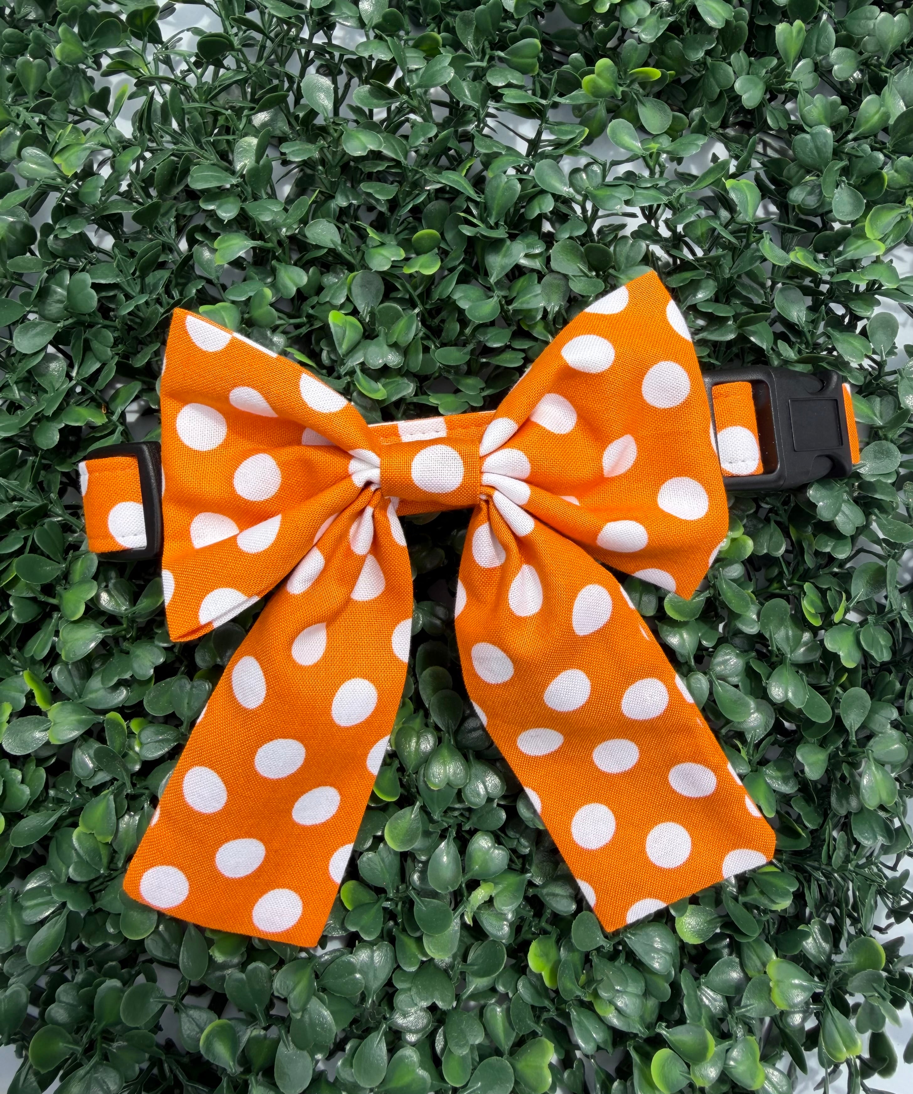 Pumpkin Spice Polka Dot Dog Collar