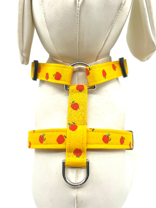 Apple Orchard Dog Harness