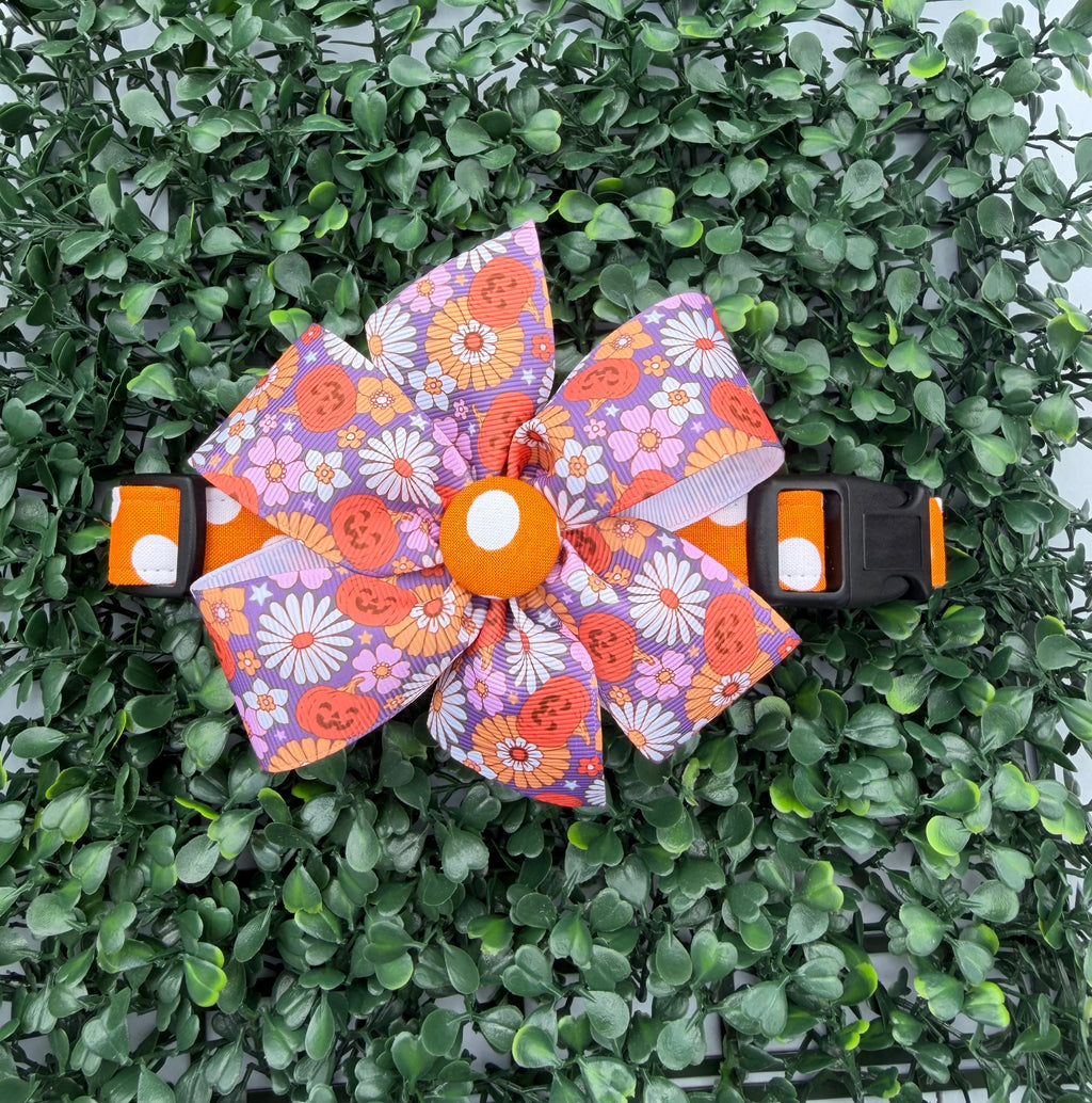 Pumpkin Spice Polka Dot Dog Collar