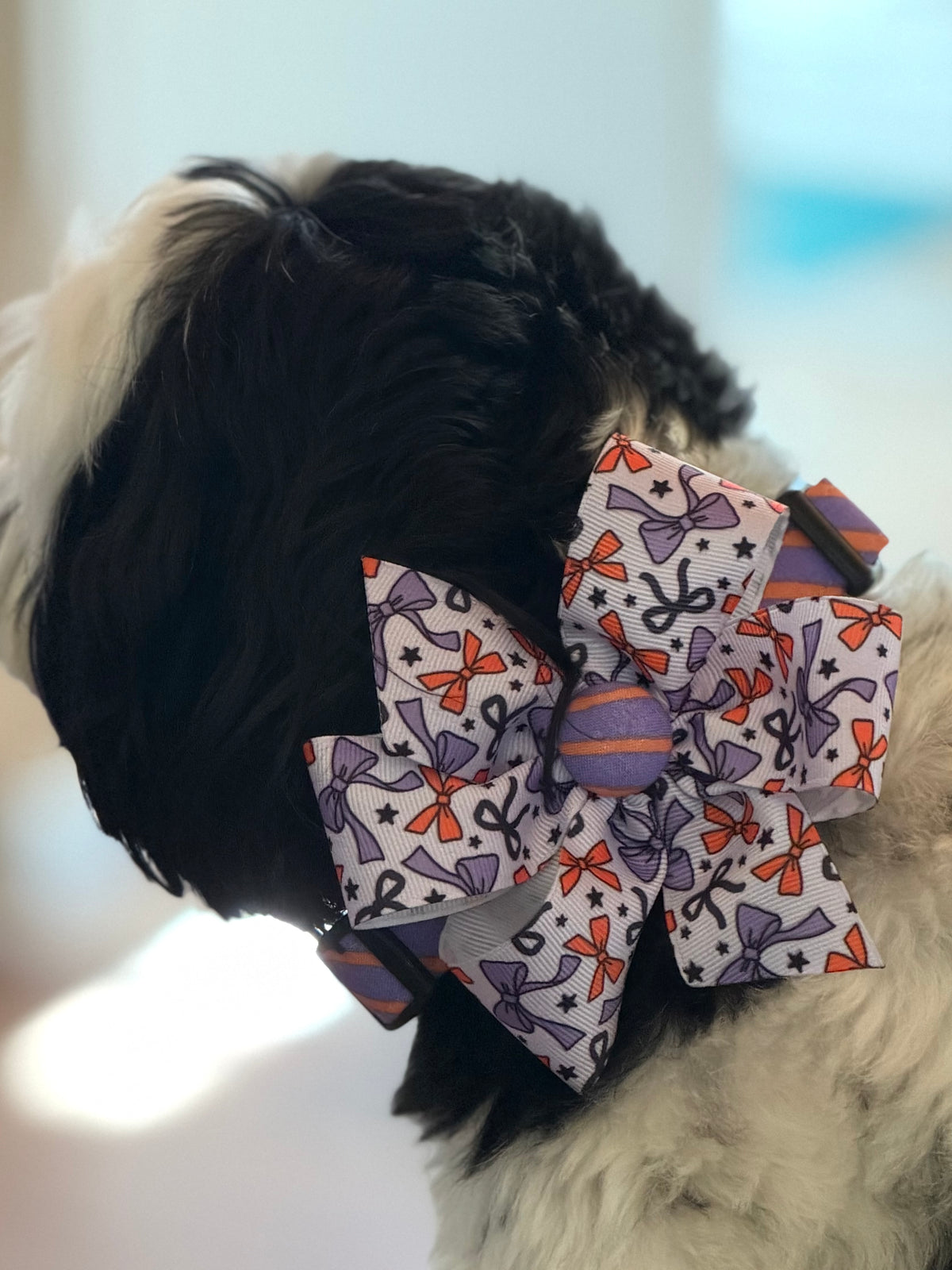 Spooky Stripes Purple & Orange Dog or Cat Collar