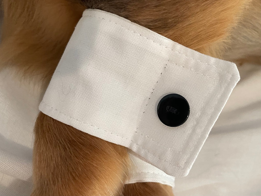 Classic Wedding Dog Cuffs