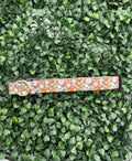 Fox in the Wild Dog Collar