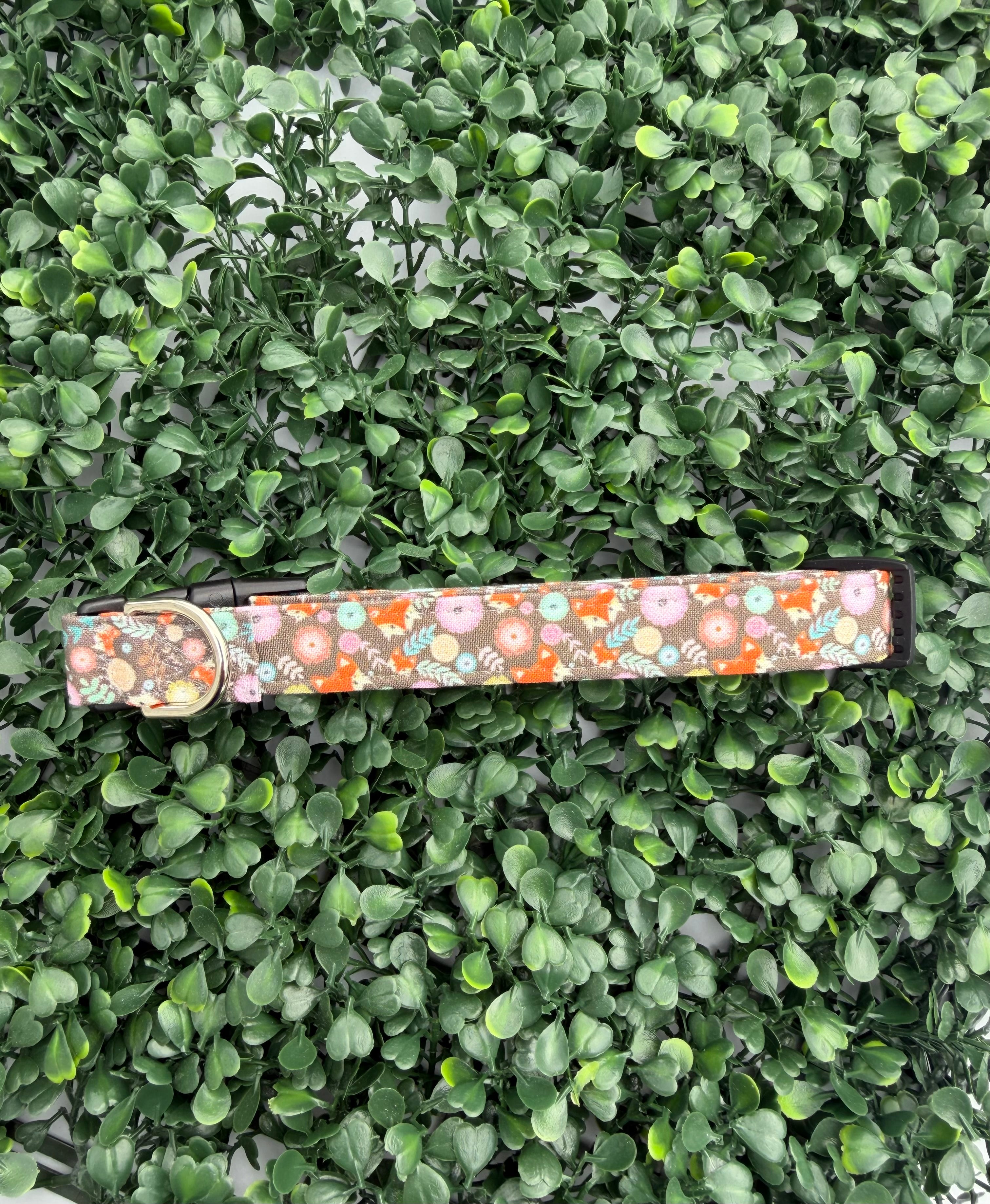 Fox in the Wild Dog Collar