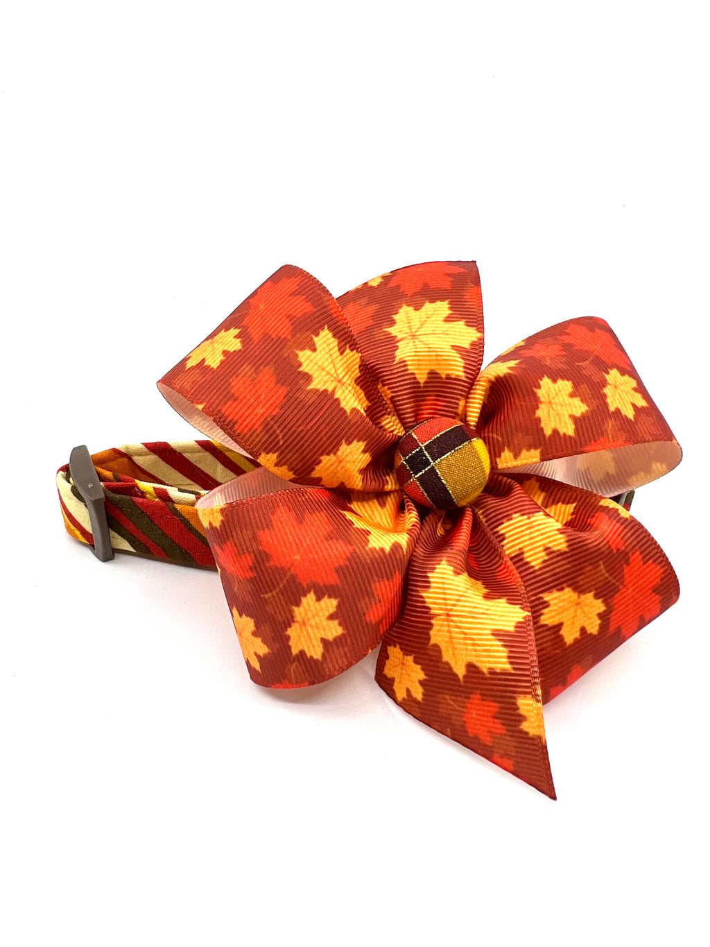 Autumn Harvest Stripe Dog Collar