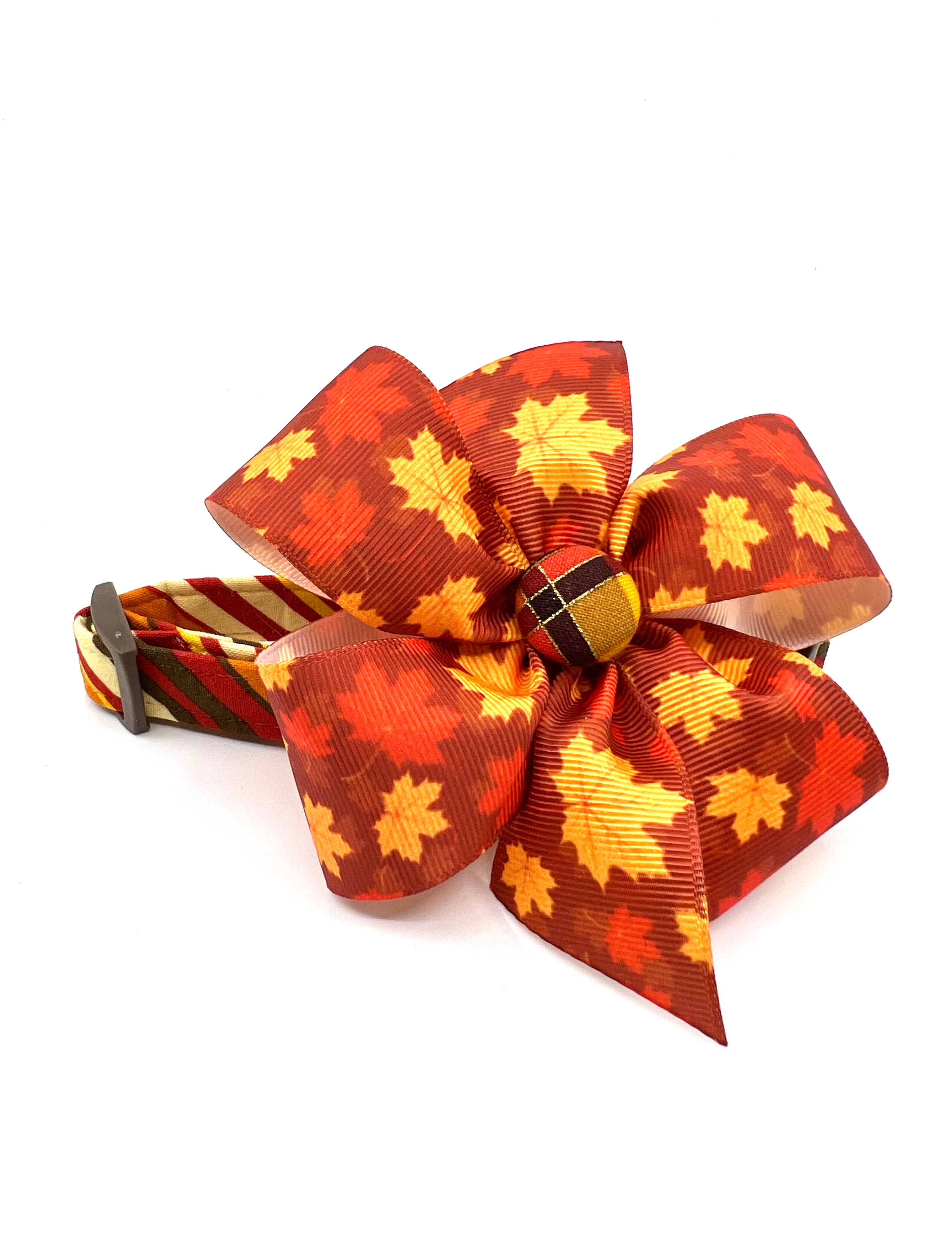 Autumn Harvest Stripe Dog Collar