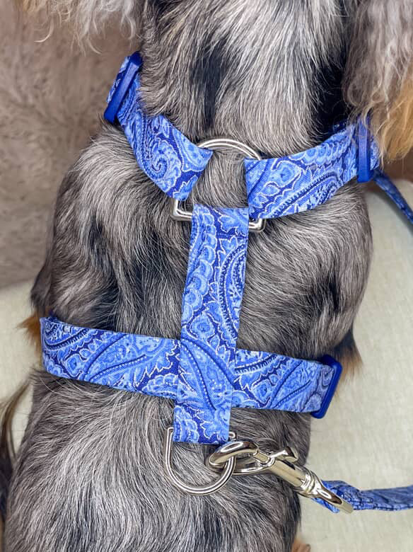 Blue Bayou Paisley Adjustable Dog Harness