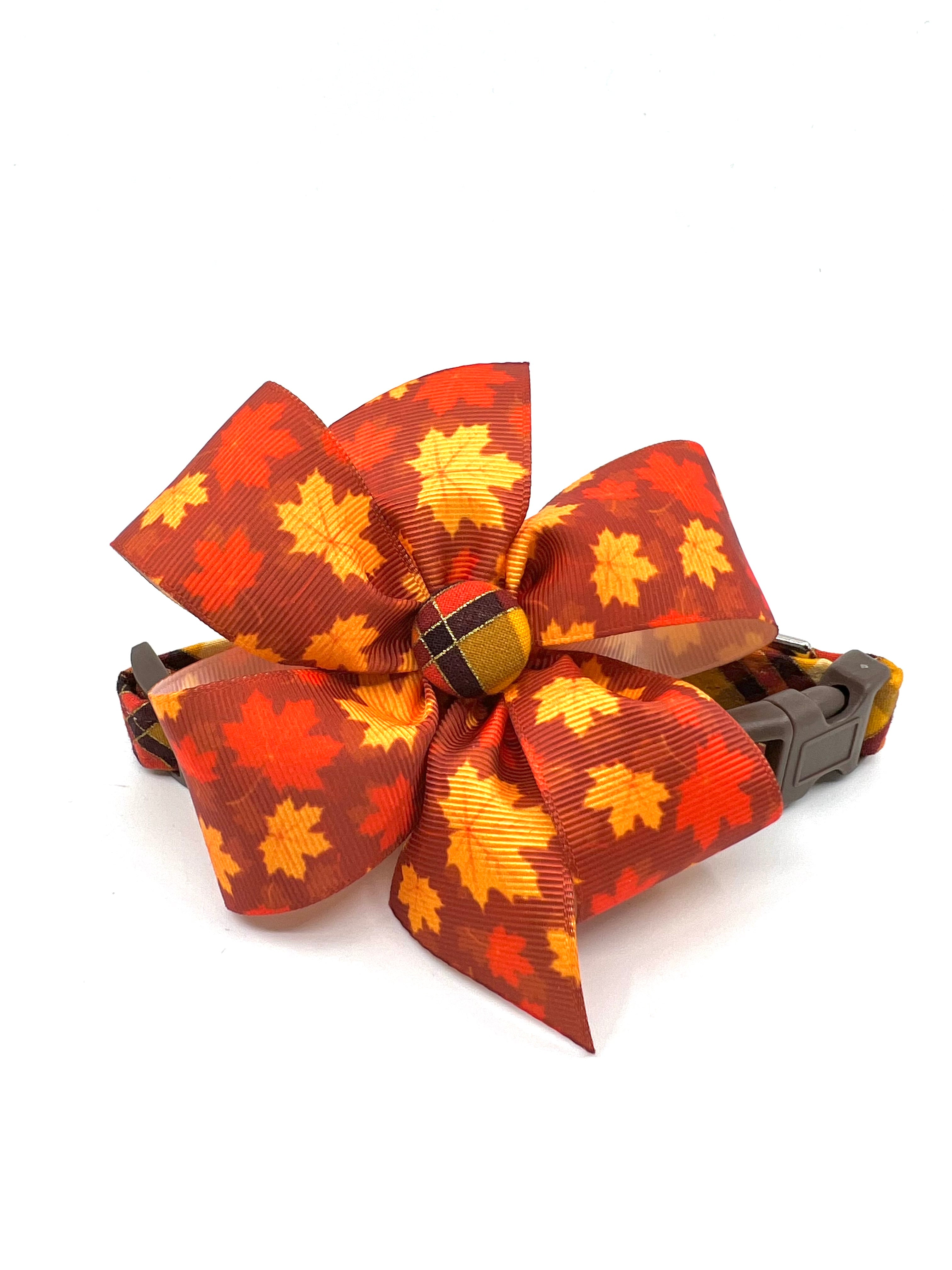 Harvest Argyle Dog Collar