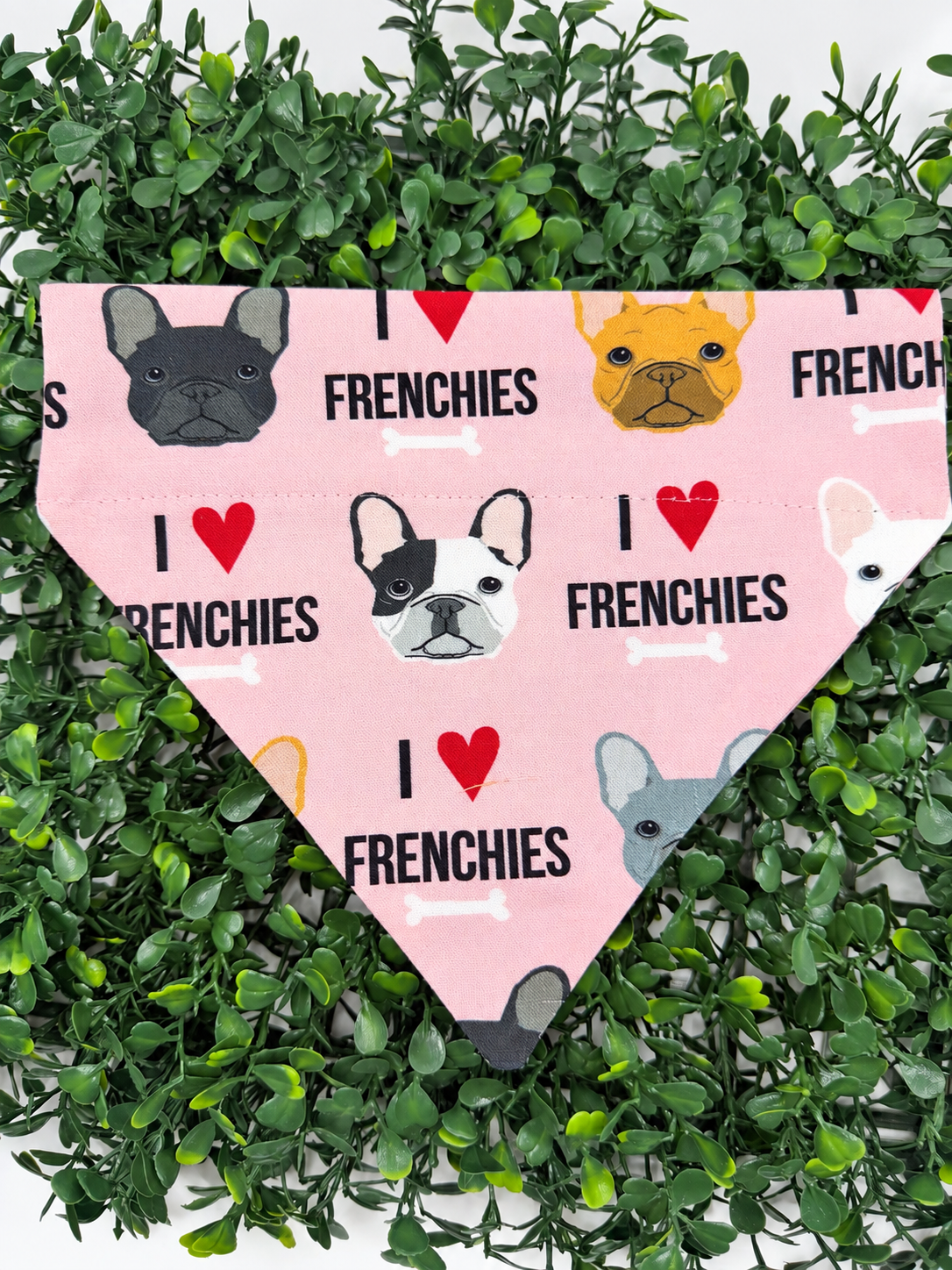Frenchie Love Collar-Through Bandanas