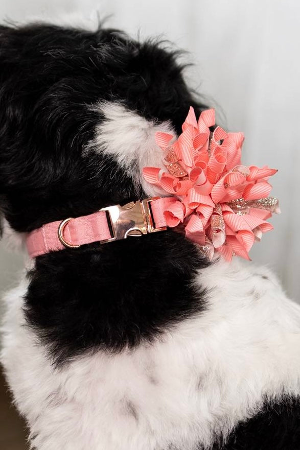 Custom Wedding Dog Collar