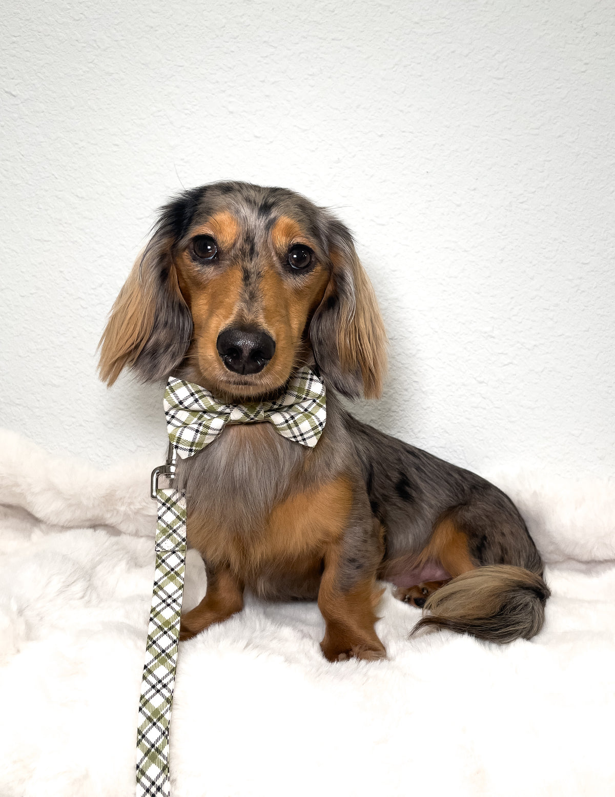 Evergreen Plaid Dog Collar