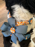 Autumn Daisy Adjustable Dog Harness