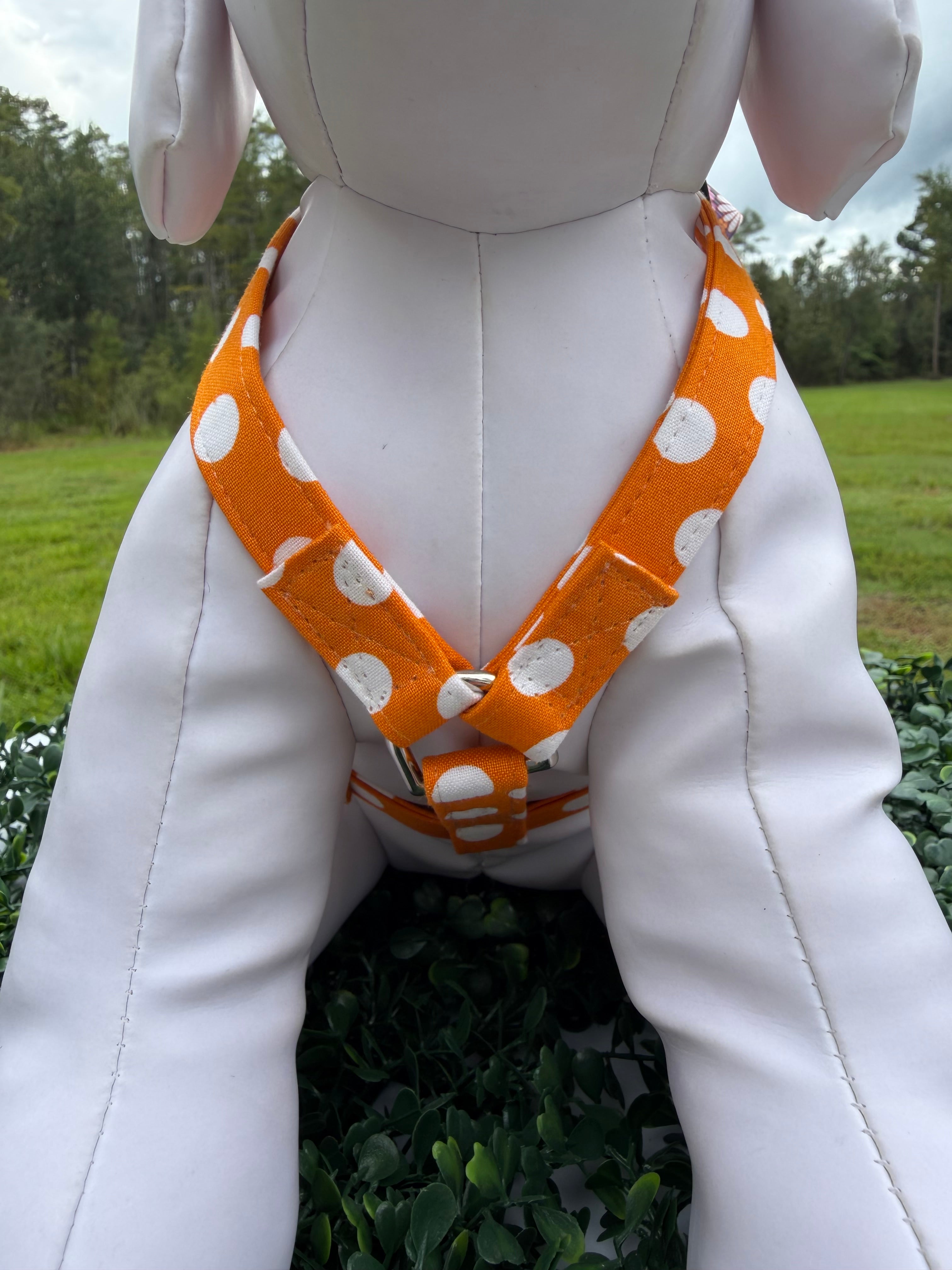 Pumpkin Spice Polka Dot Dog Harness 🎃🐾