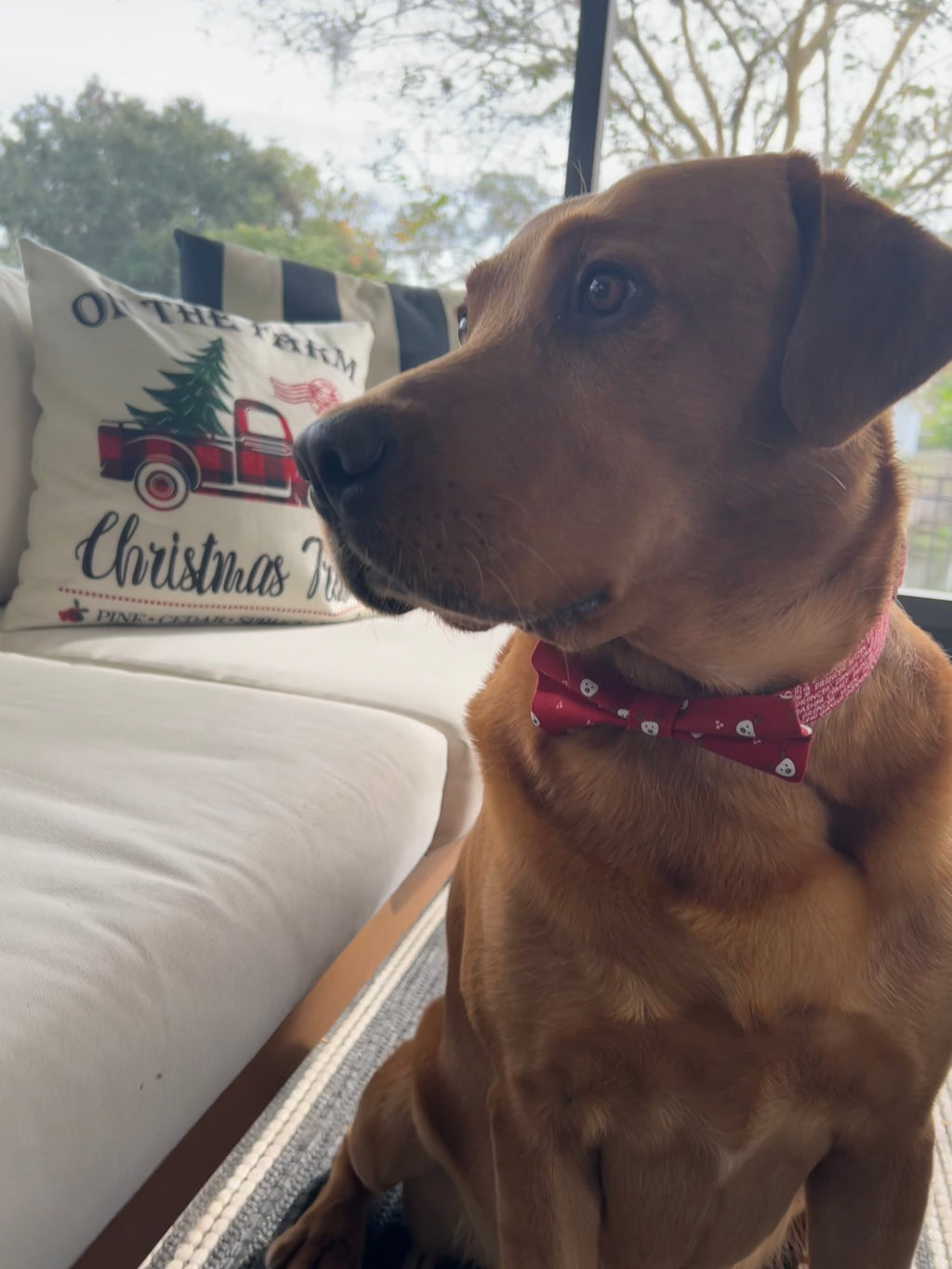 Santa’s Reindeer Roll Call Dog Collar