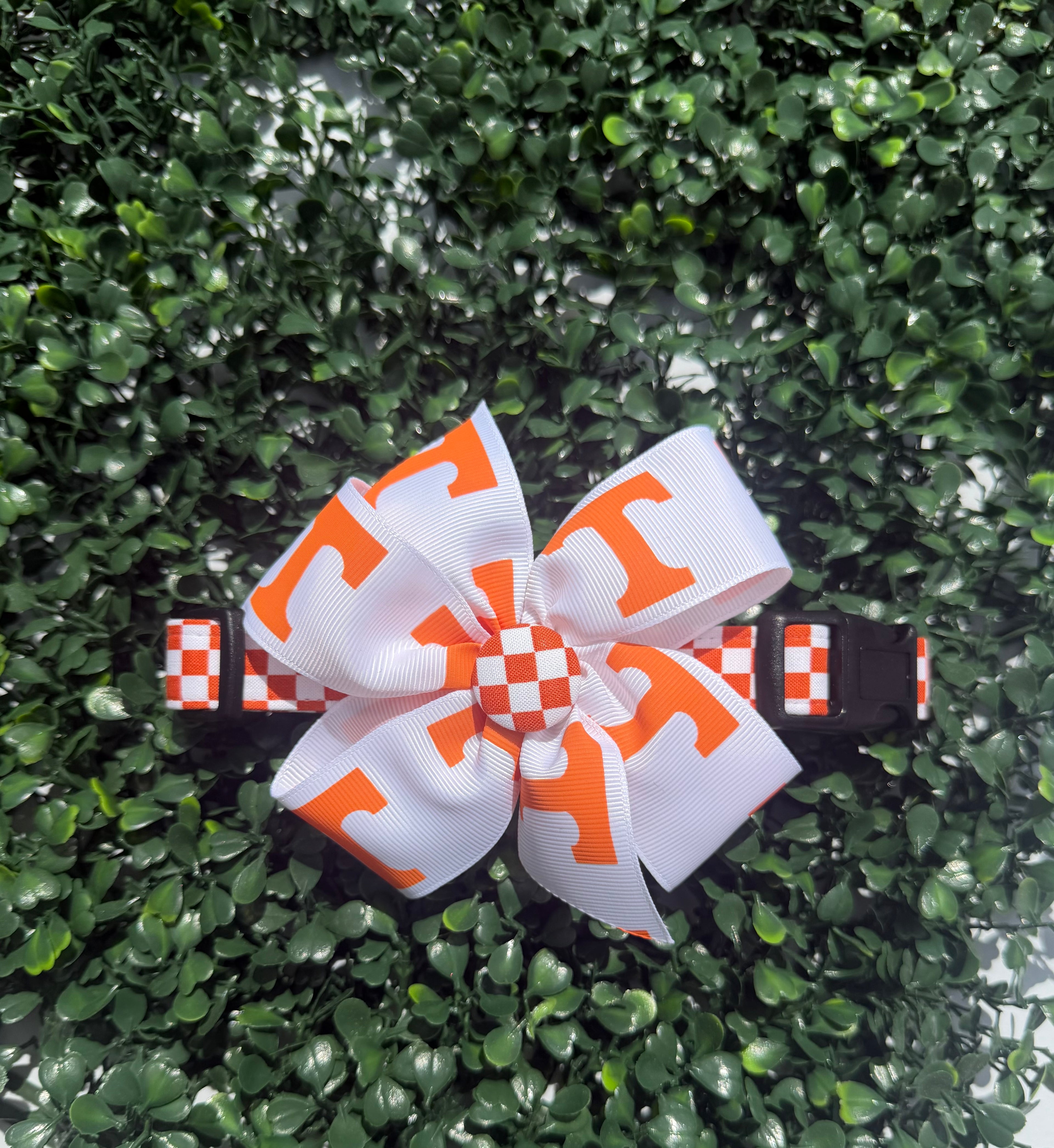 Team Spirit Custom Dog Collar or Harness – Choose Your Team & Style