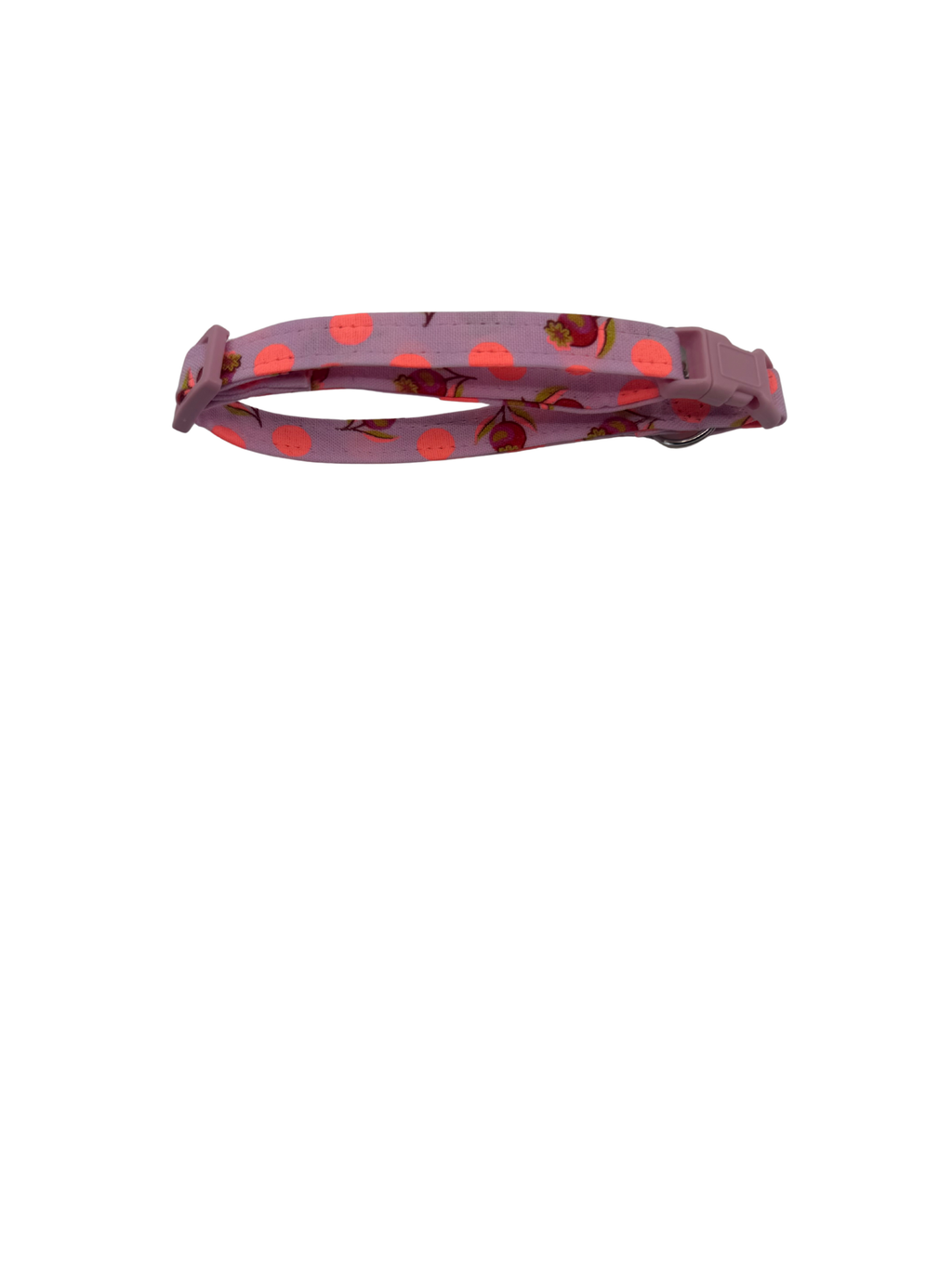 Tropical Pop Dog Collar
