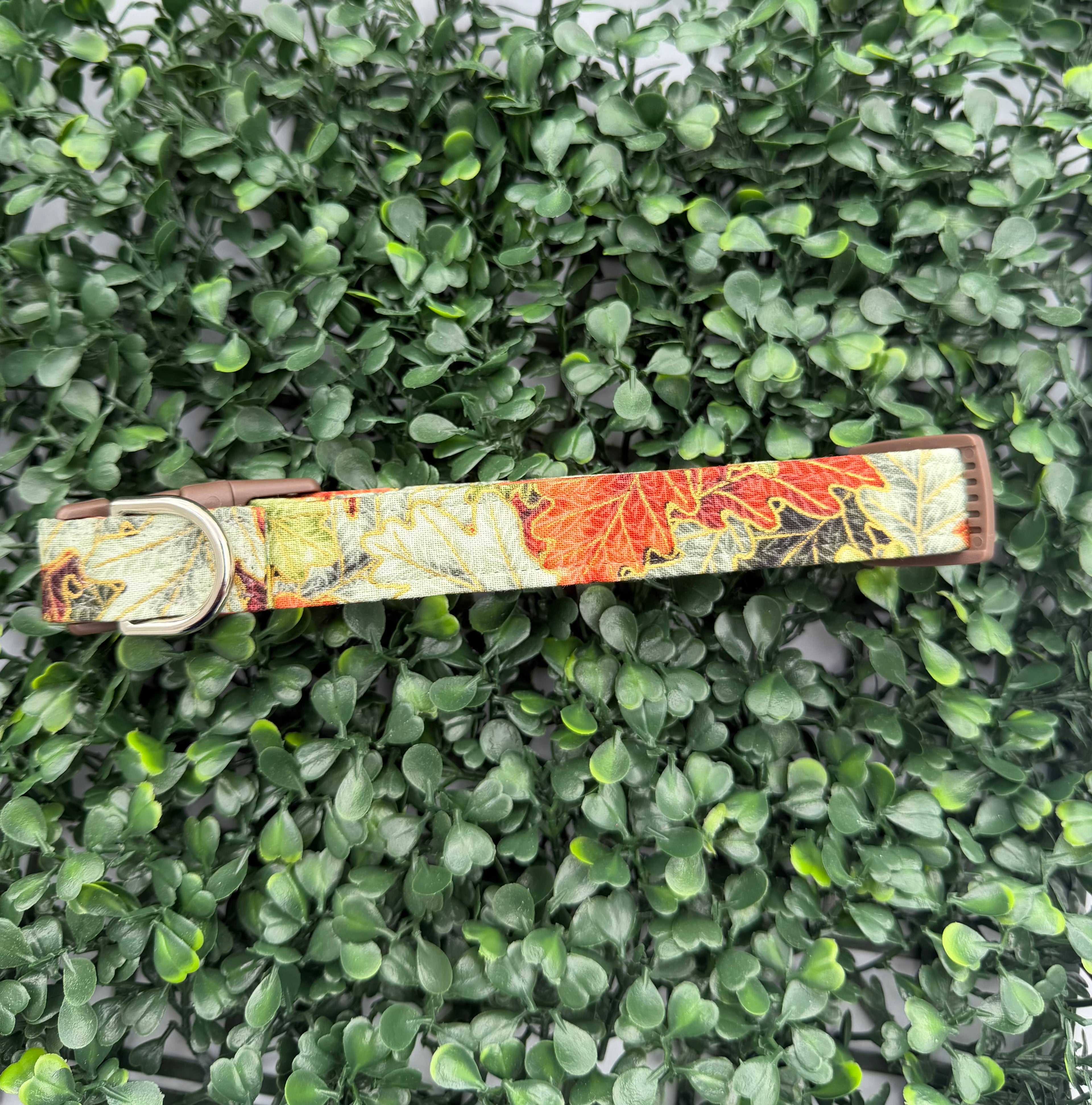 Falling Leaves Dog Collar