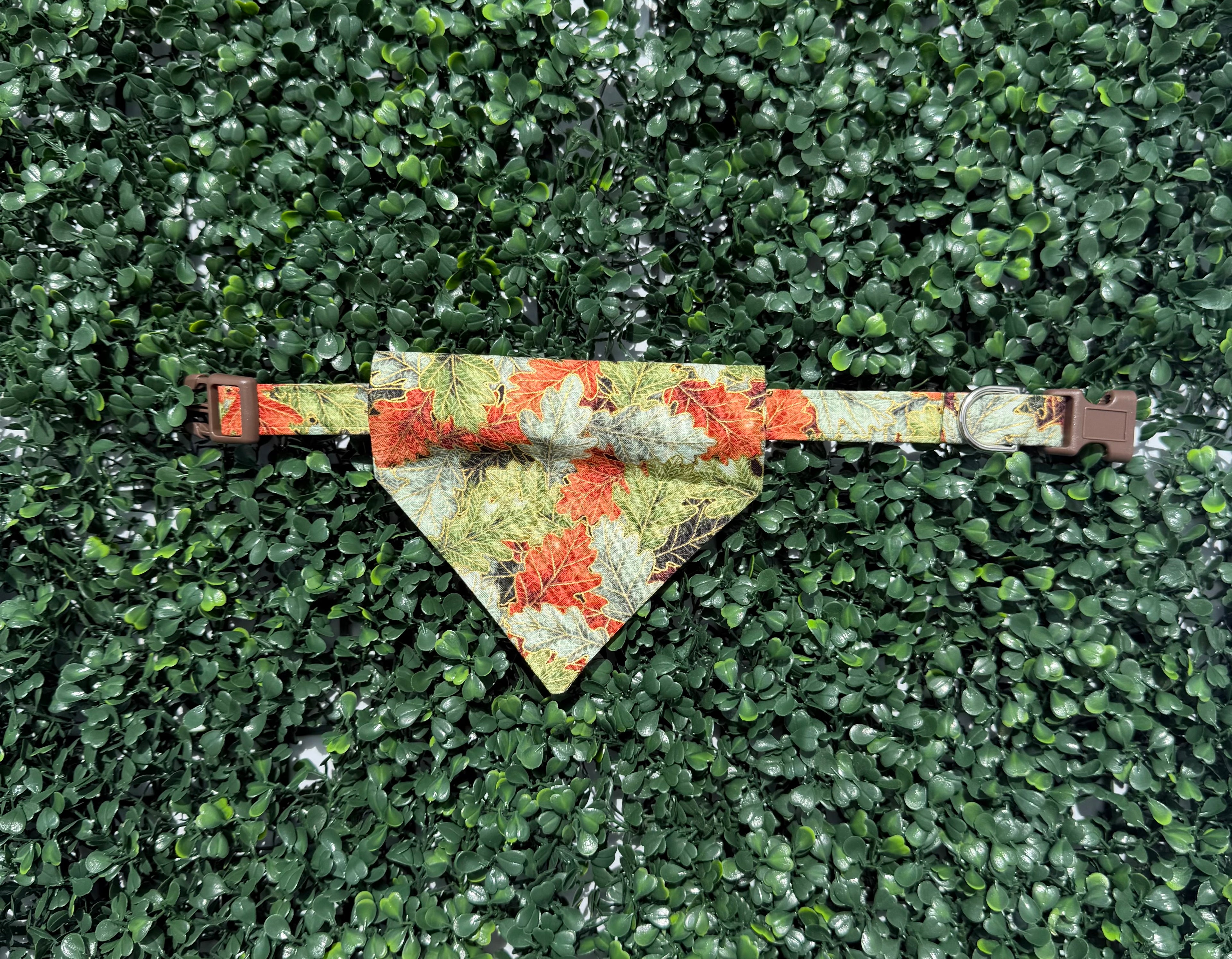 Falling Leaves Dog Collar