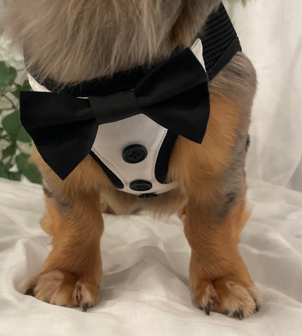 Dapper Gentleman Custom Formal Dog Harness