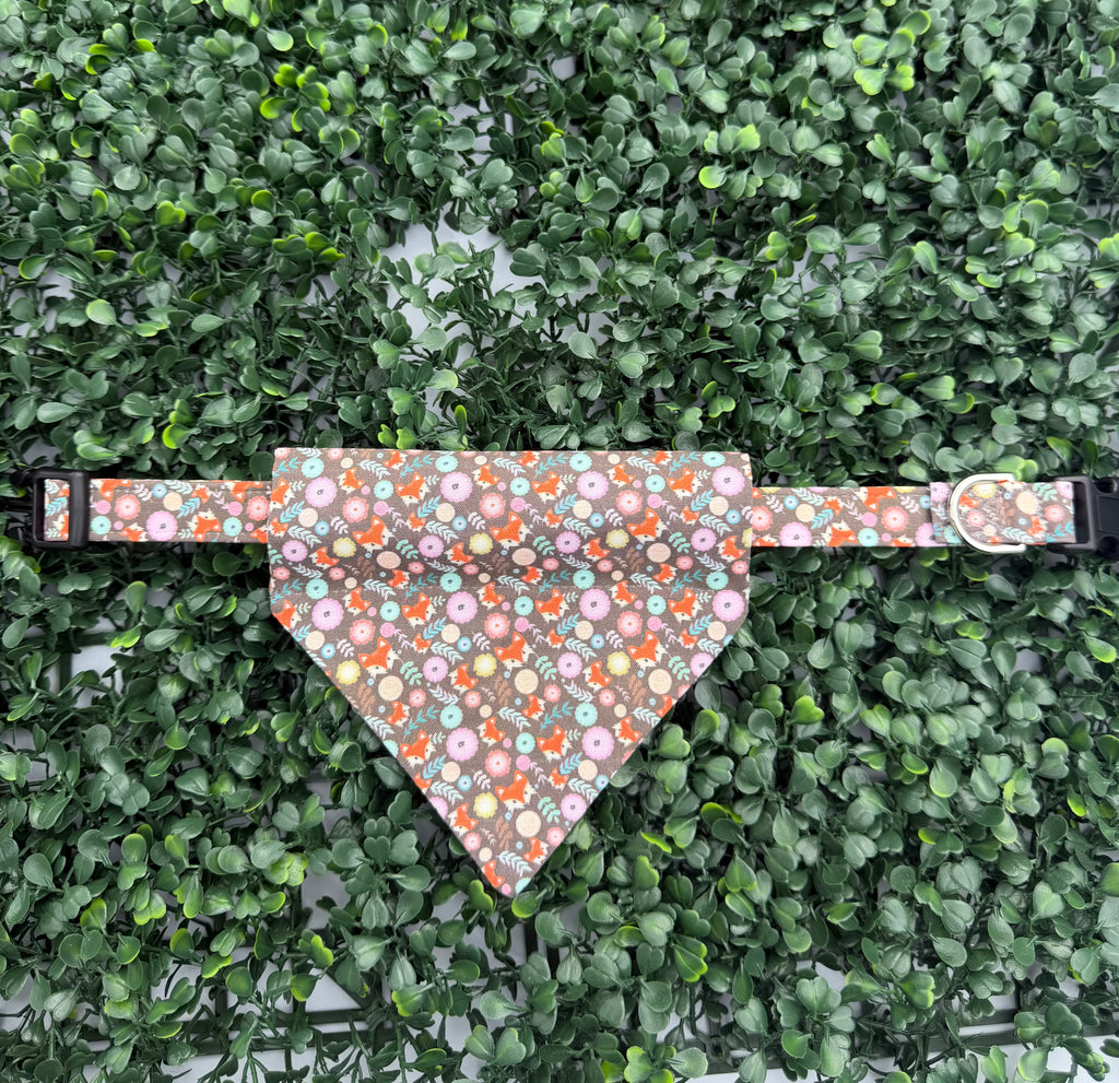 Fox in the Wild Dog Collar