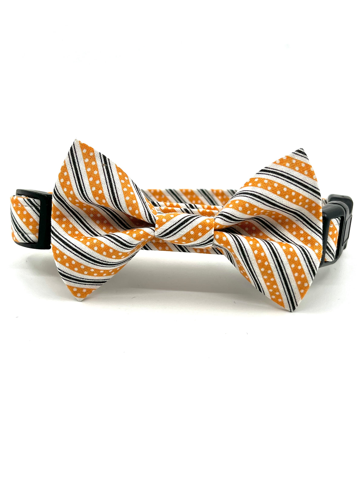 Pumpkin Spice Stripe Dog Collar