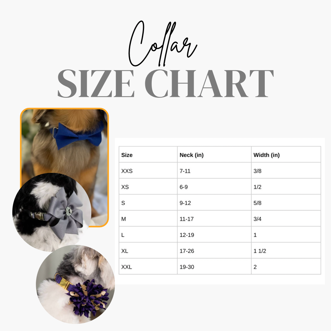 Custom Wedding Dog Collar