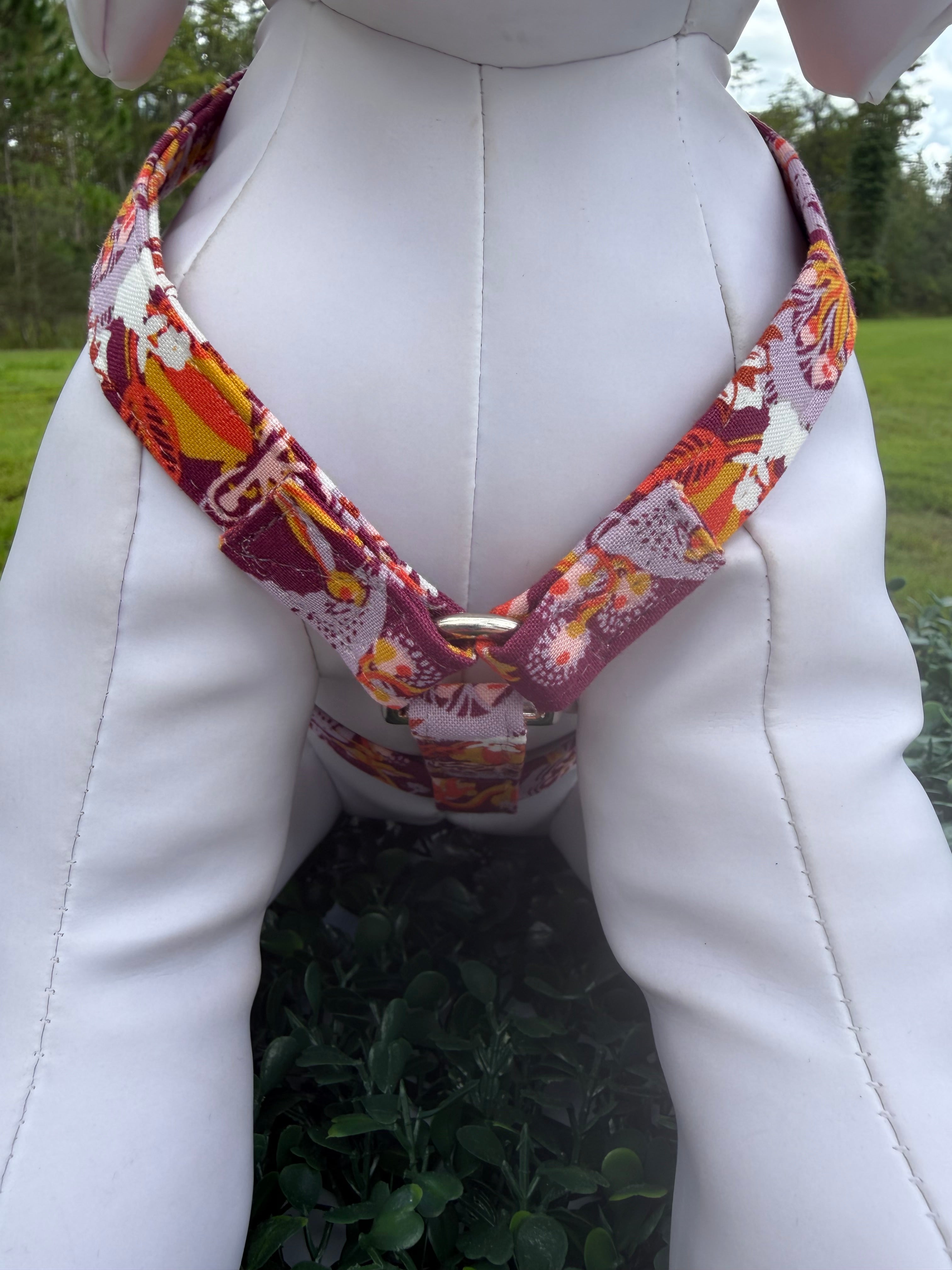 Autumn Harvest Floral Dog Harness