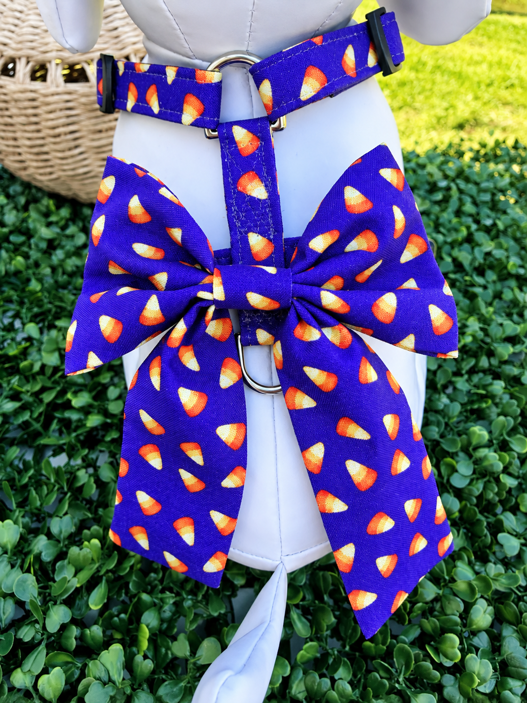 Candy Corn Cutie Dog Harness