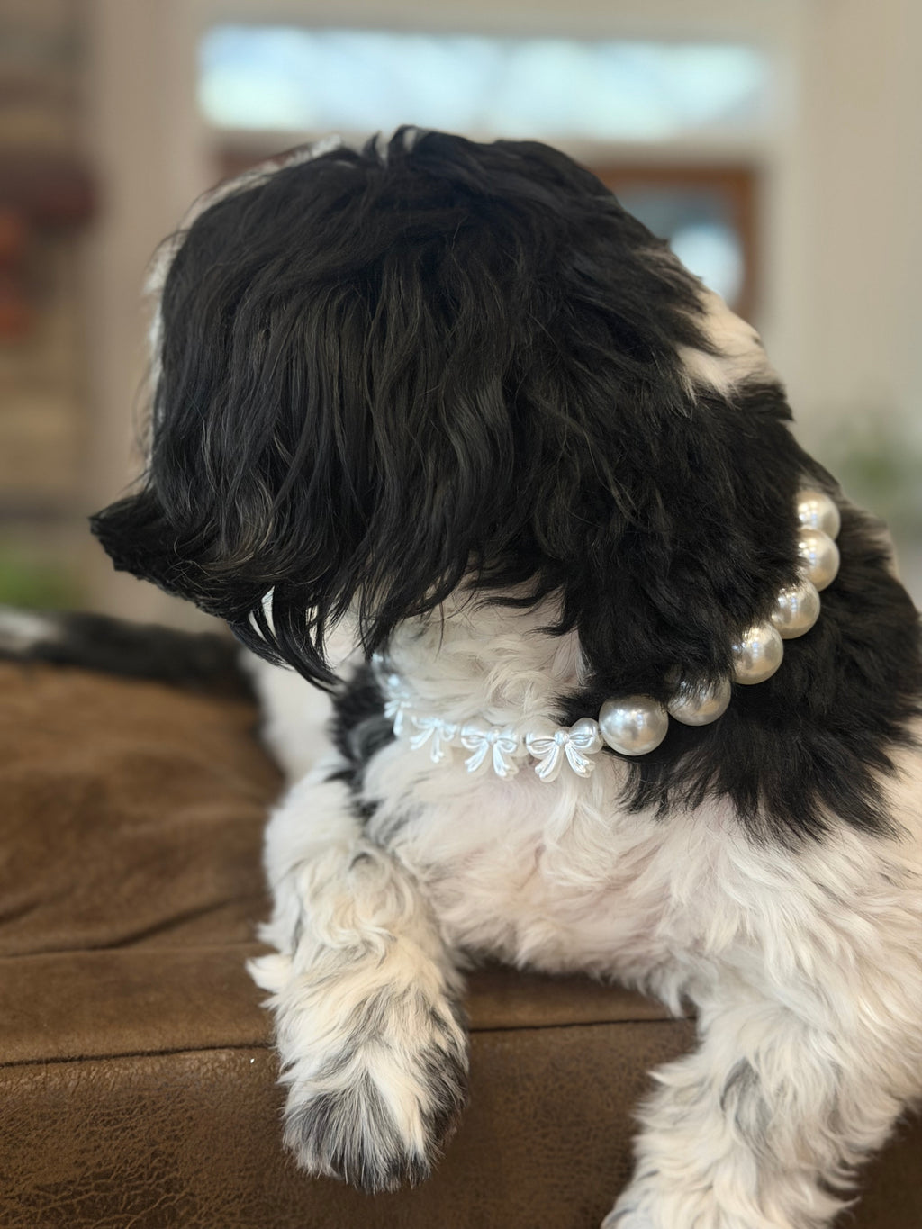 Pearls & Bows Wedding Beaded Pet Collar