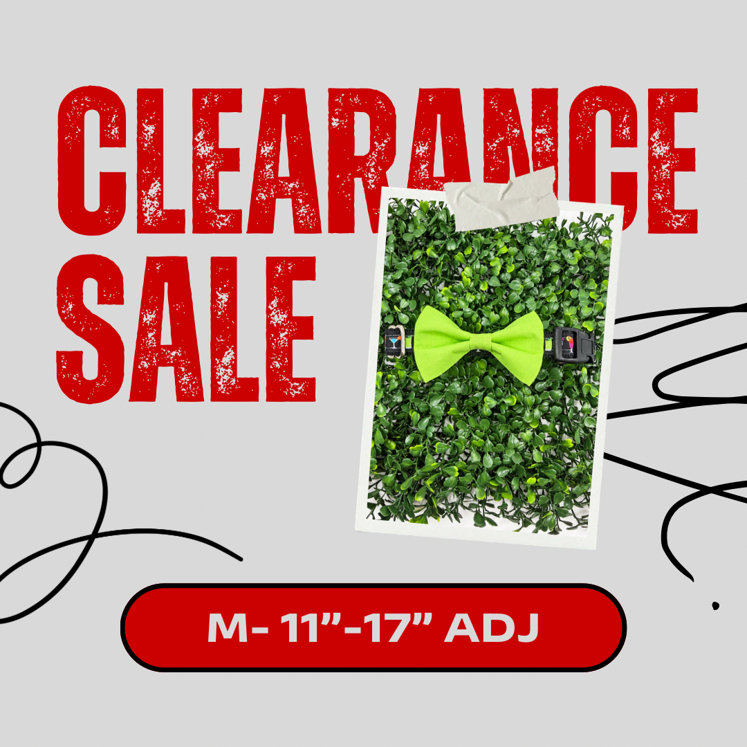Clearance Dog Collar- Medium