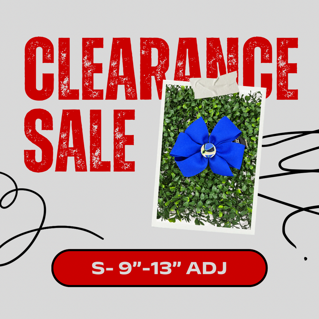 Clearance Dog Collar- Small