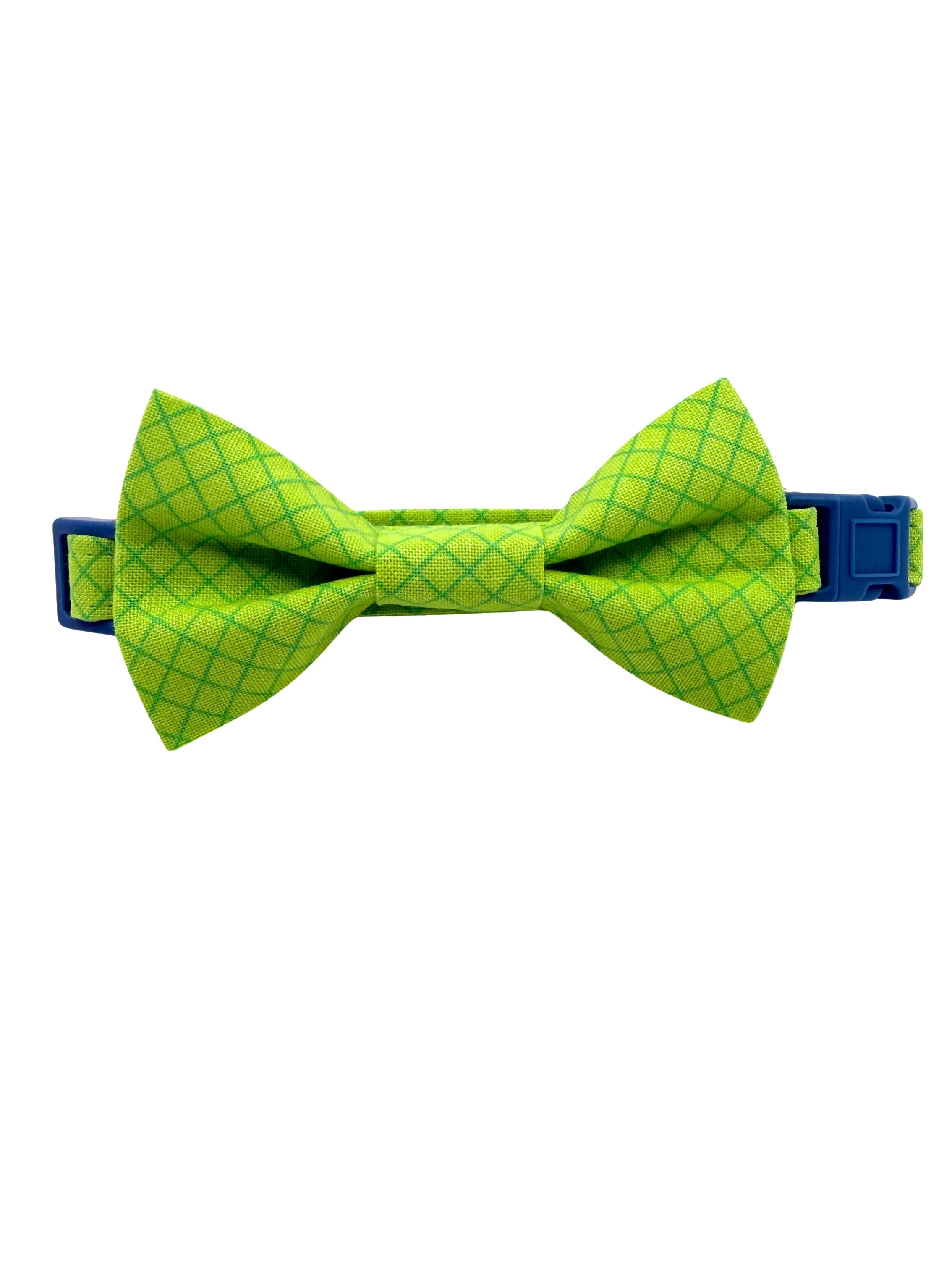 Electric Lime Dog Collar