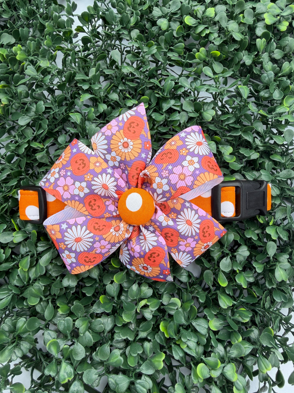 Pumpkin Spice Polka Dot Dog Collar