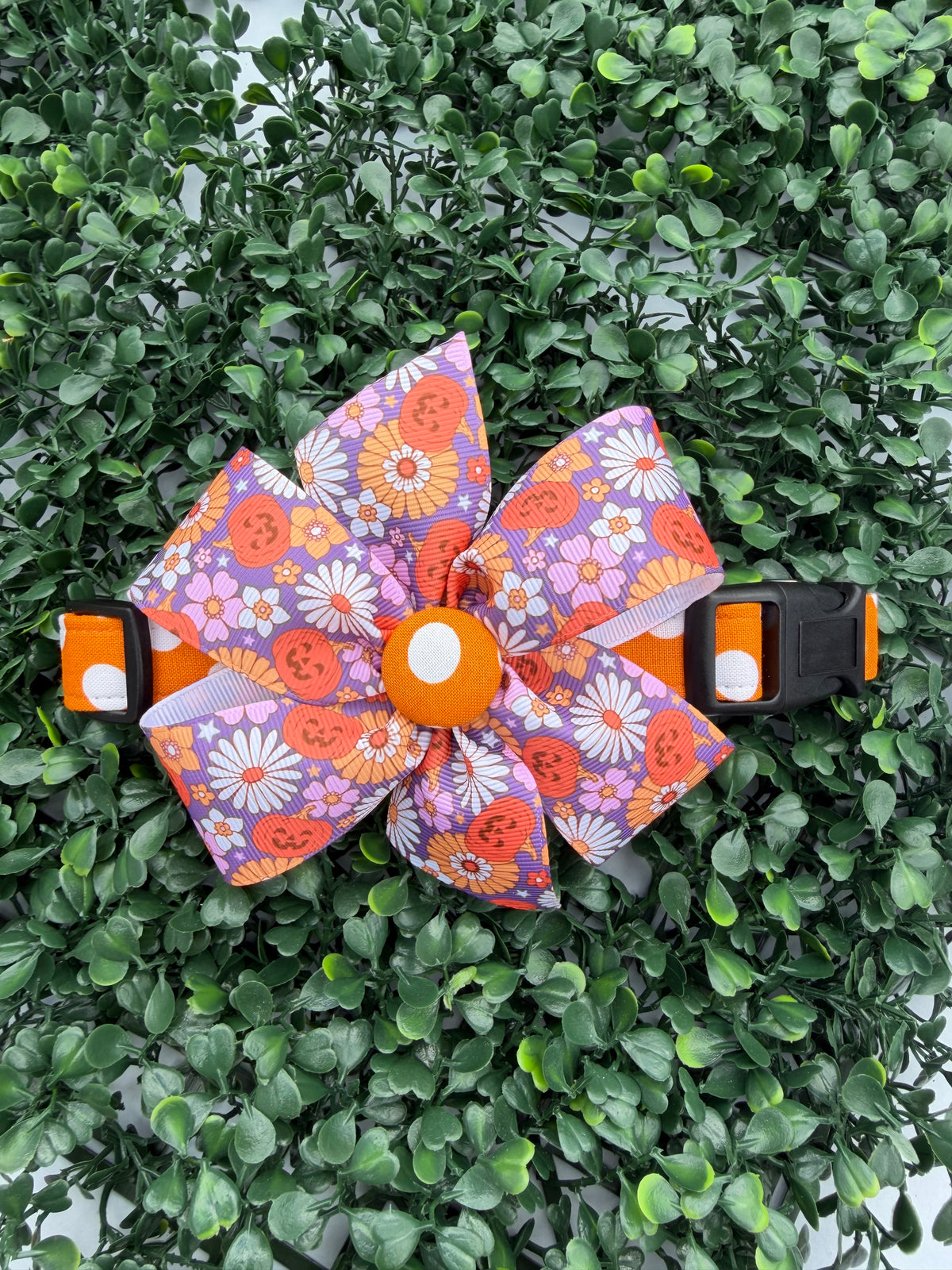 Pumpkin Spice Polka Dot Dog Collar