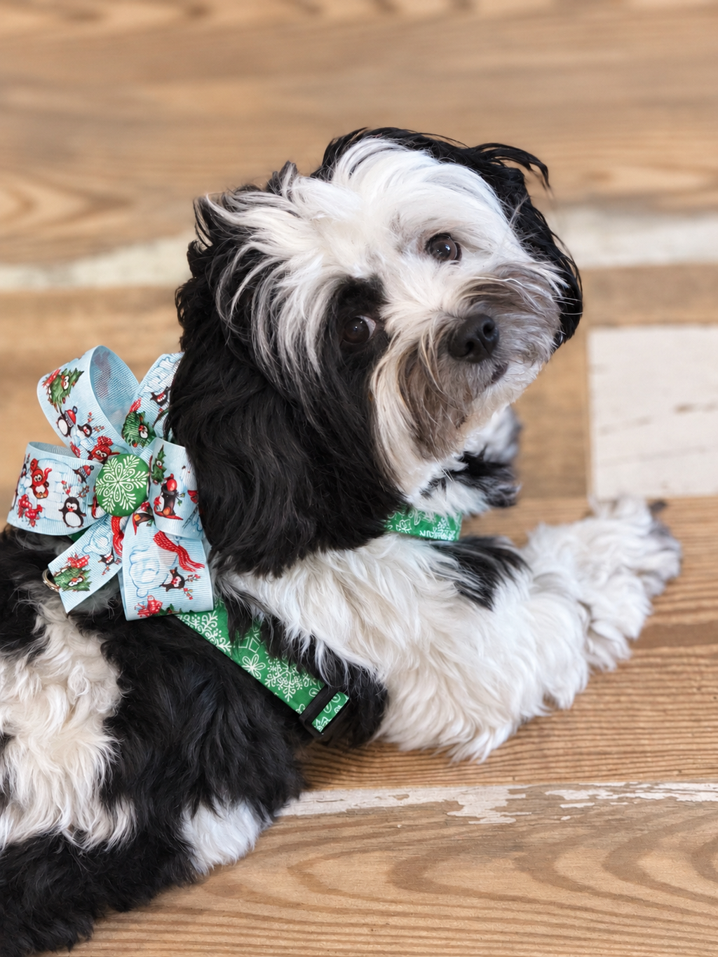 Mix & Match Christmas Collection