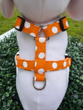 Pumpkin Spice Polka Dot Dog Harness 🎃🐾
