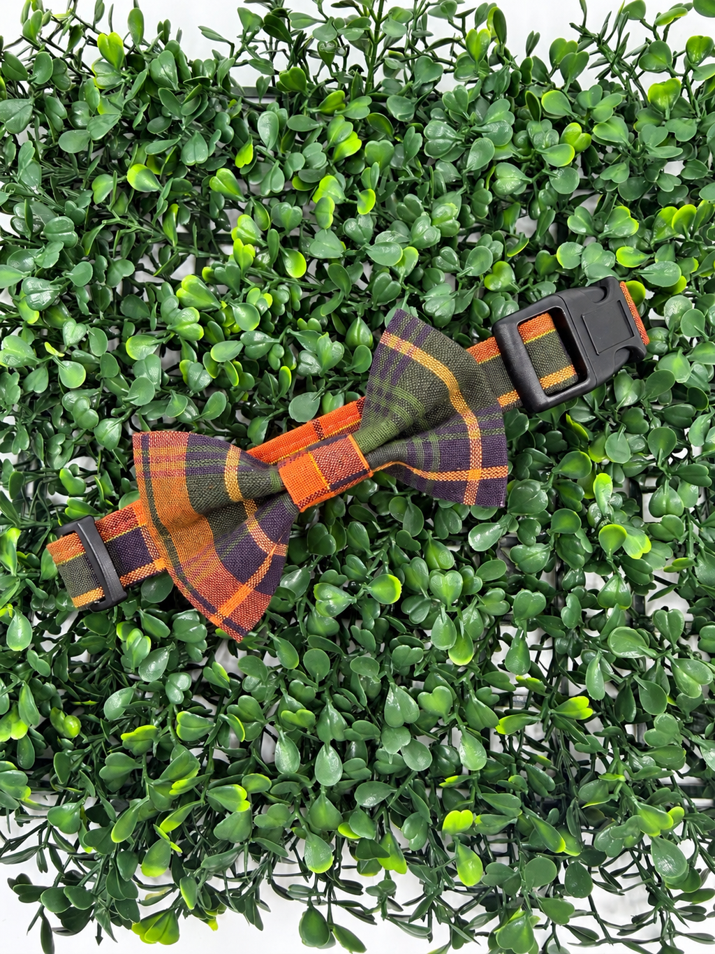 Thanksgiving Plaid Dog or Cat Collar
