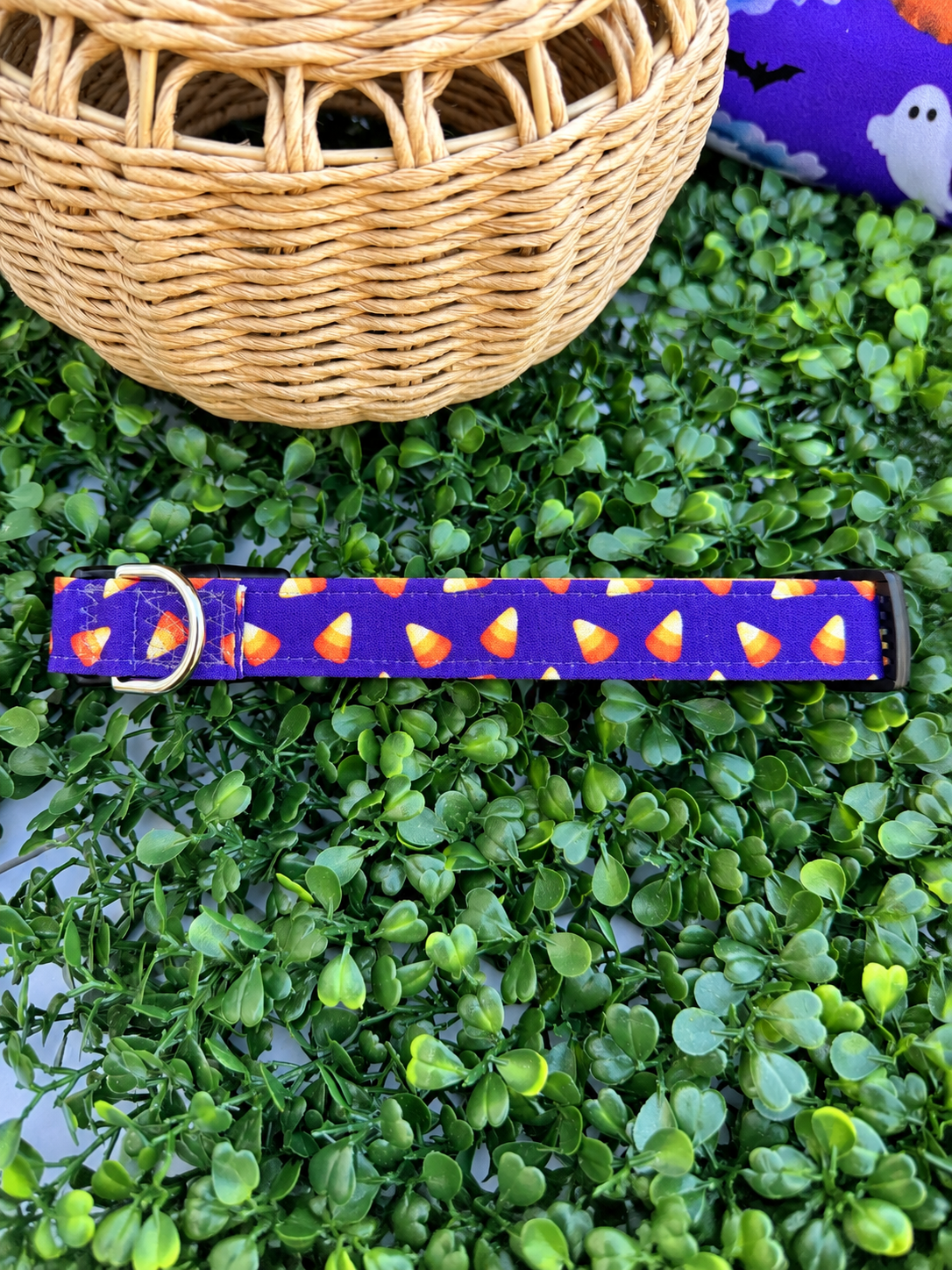 Candy Corn Cutie Dog or Cat Collar