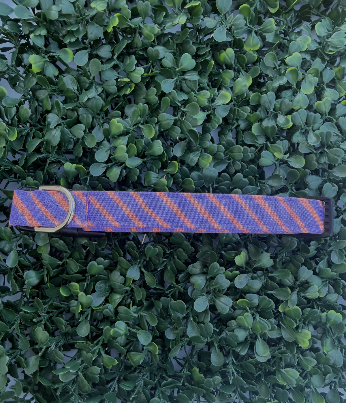 Spooky Stripes Purple & Orange Dog or Cat Collar