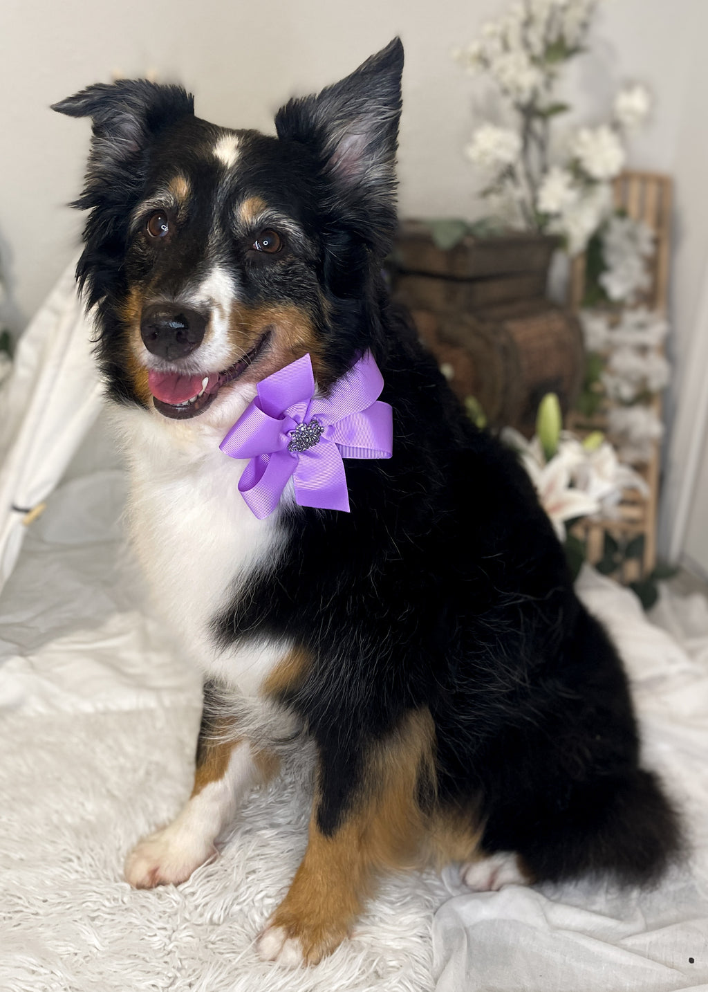 Custom Wedding Dog Collar