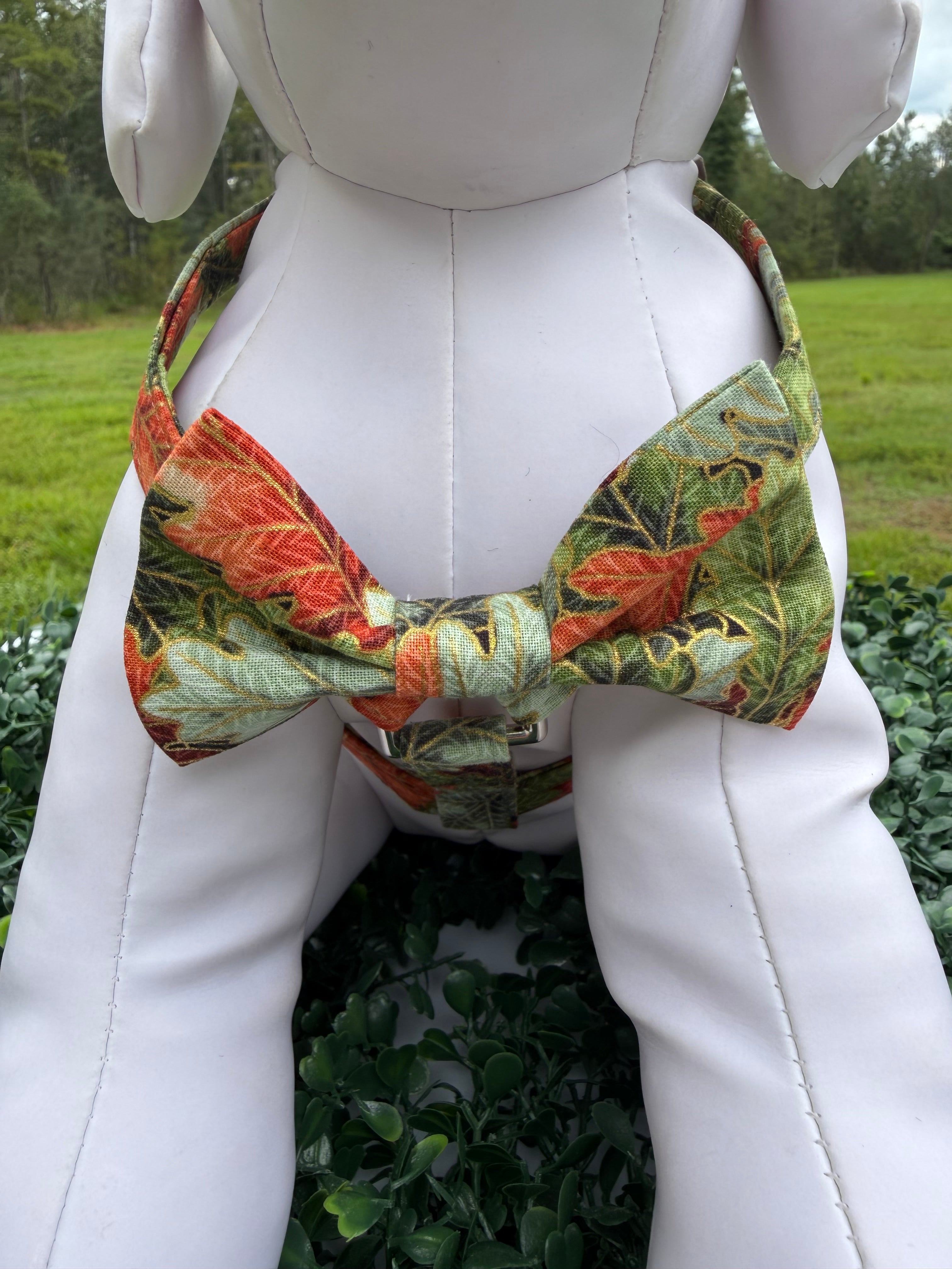 Falling Leaves Dog Harness 🍂🐾