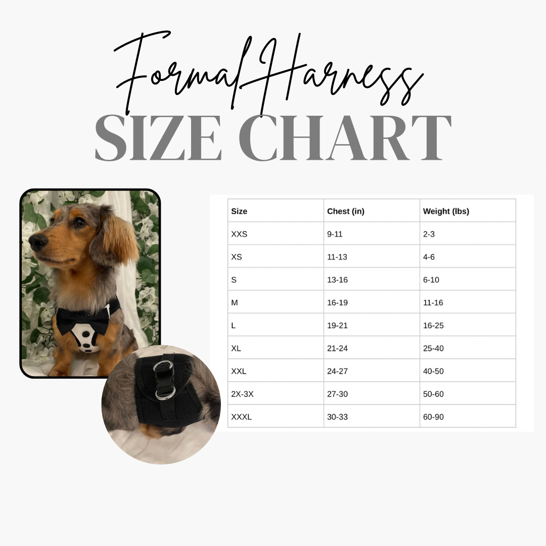 Dapper Gentleman Custom Formal Dog Harness