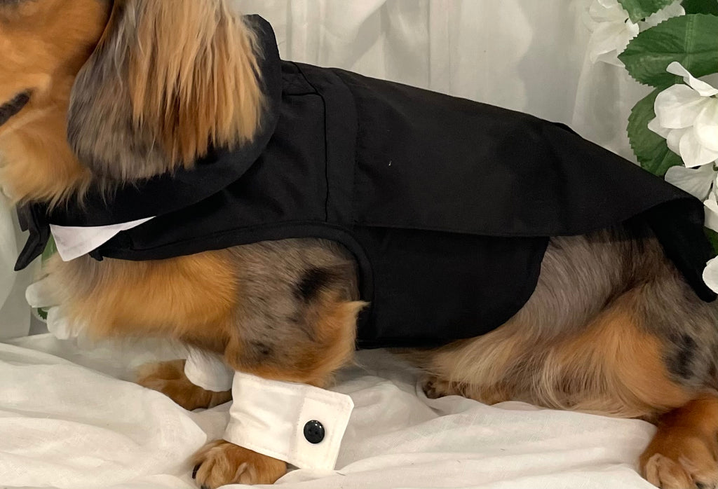 Classic Tuxedo Wedding Dog Outfit