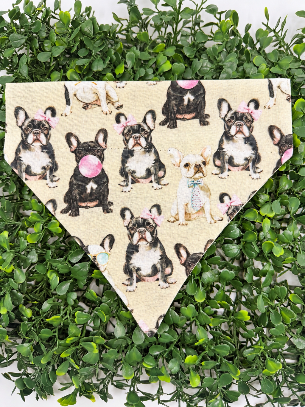 Frenchie Love Collar-Through Bandanas