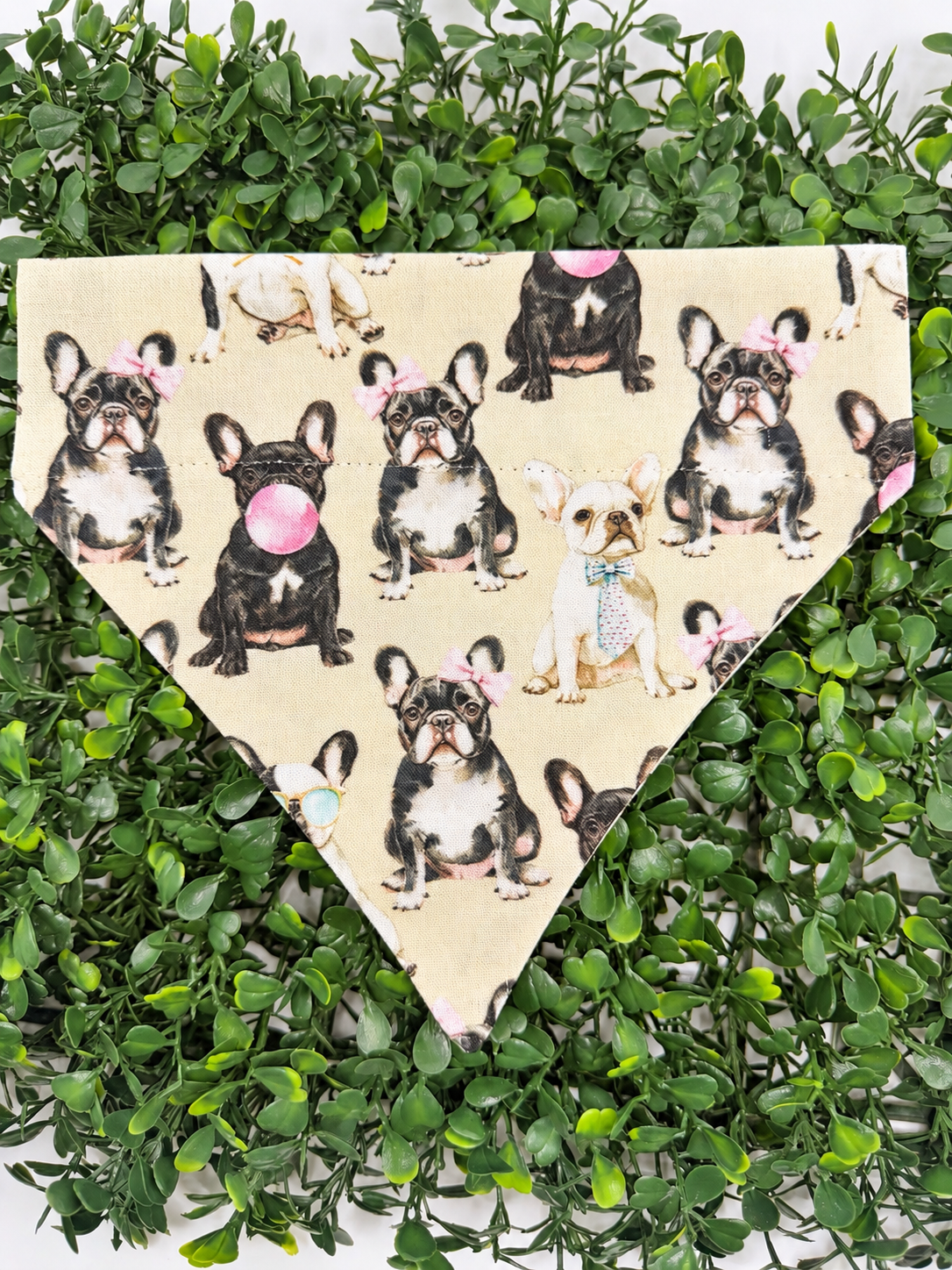 Frenchie Love Collar-Through Bandanas